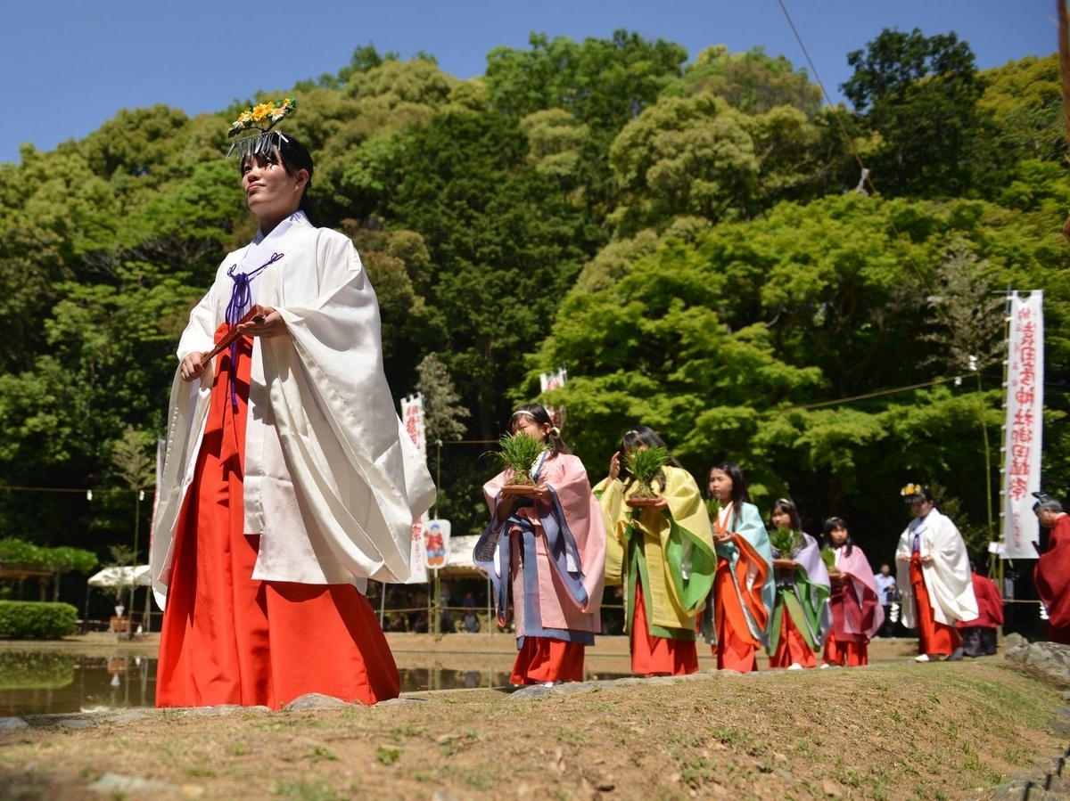 伊勢・猿田彦神社で御田植祭: 緋袴白書：備忘録