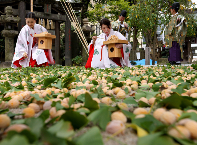 福岡宇美八幡宮 ハトの土鈴