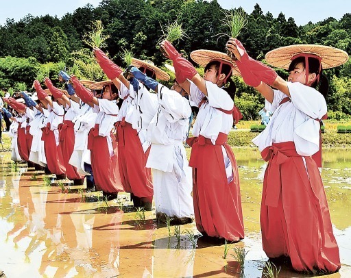 静岡県森町 小国神社 御田植祭 緋袴白書 備忘録