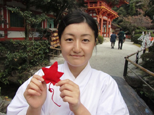 上賀茂神社で期間限定のお守り: 緋袴白書：備忘録