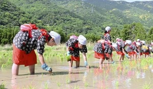 img834681d4e2fc50a9.jpg